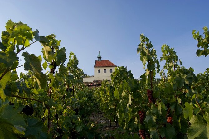 2.5-Hour Prague Wine Tasting Walking Tour - The walking portion: how Prague fits into the wine story