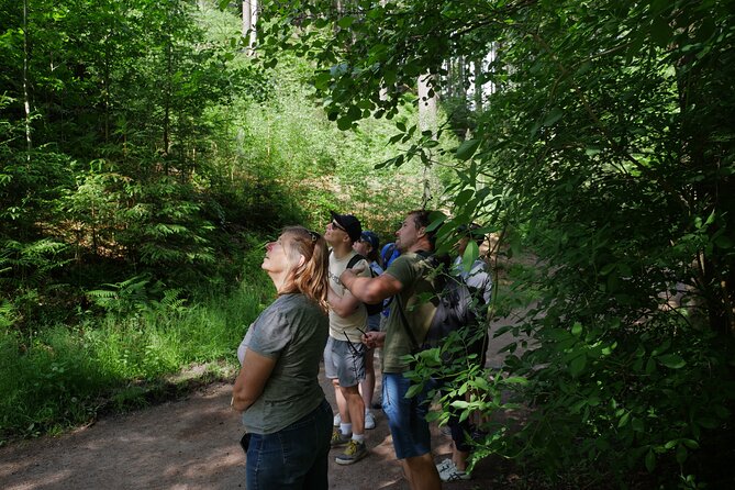 3 in 1 Tour Brewery & Castle in Bohemian Paradise Unesco Geopark - Hrubá Skála Castle: eat like a king, then climb to the tower