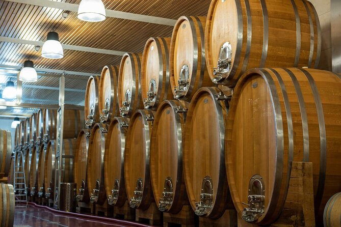 A delightful wine tasting in the scenic countryside with lunch - The Real Starting Point: Prague Pickup That Gets You Out Fast