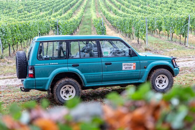 A delightful wine tasting in the scenic countryside with lunch - The Jewish Cemetery Stop in the Vineyards: Quiet, Unusual, Memorable