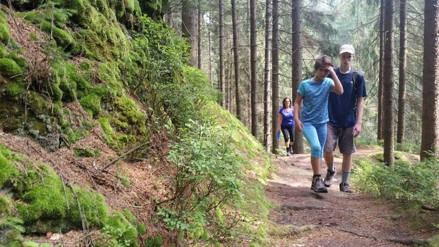 Bohemian Switzerland: Private Day Trip from Prague - Why Bohemian Switzerland feels like a film set near Prague