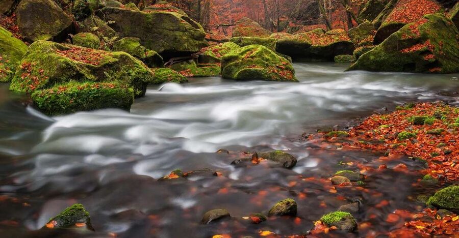 Bohemian Switzerland: Private Day Trip from Prague - Price and value: what $801 for up to 2 actually buys you