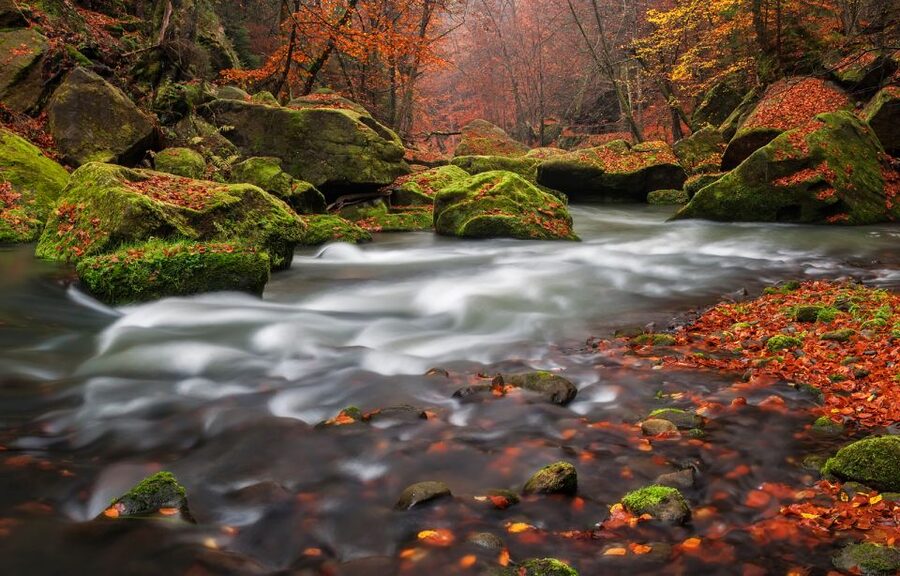 Bohemian Switzerland: Private Day Trip from Prague - Private pickup, comfort cars, and an English-speaking guide you can actually talk to