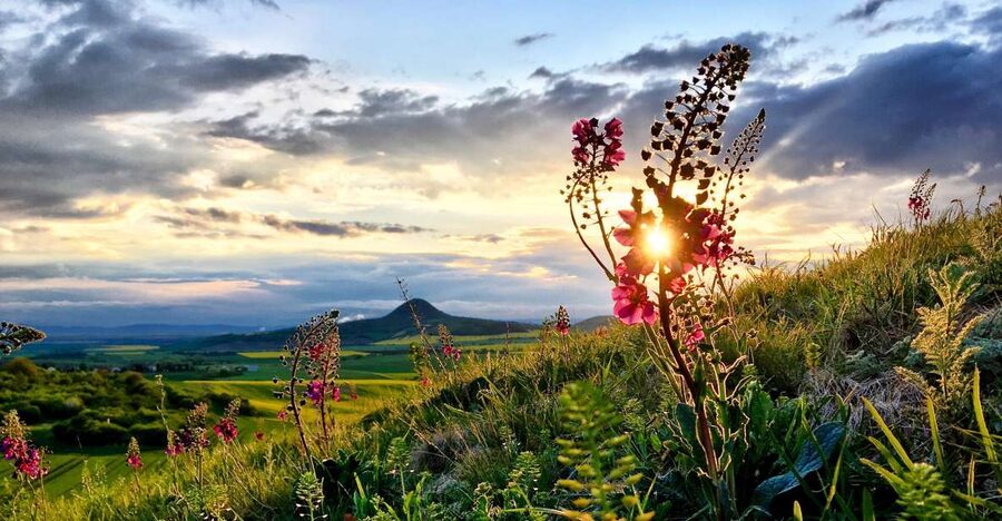 Bohemian Uplands: Garnet panning, Farm & Local Lunch&Beer - Garnet panning: make a souvenir the old-fashioned way