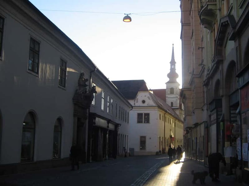 Brno: Historic Downtown Walking Tour - Reduta Theatre and the music connection