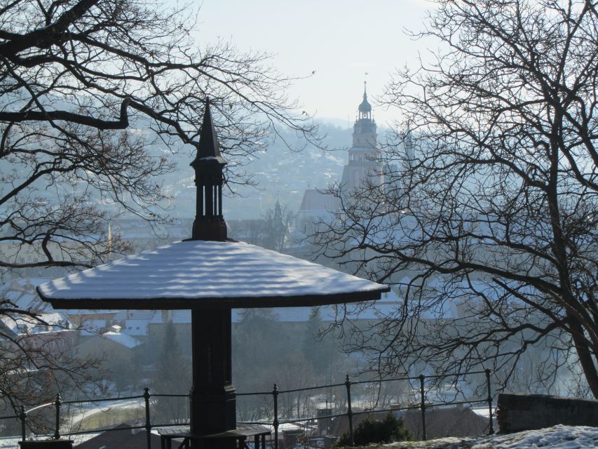 Český Krumlov: 2 Hour Private Walking Tour with Guide - Private guide value, your questions, and the benefit of local storytelling