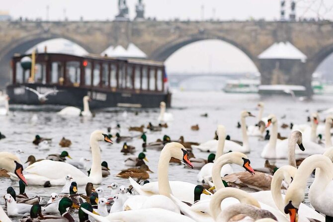 Charles Bridge: River Boat Cruise & Guided Tour ️with PragueWay - Lennon Wall: the story behind the colors