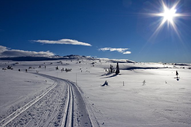 Cross-Country Skiing Guided Tour From Prague - A full winter day outside Prague, with the boring parts handled