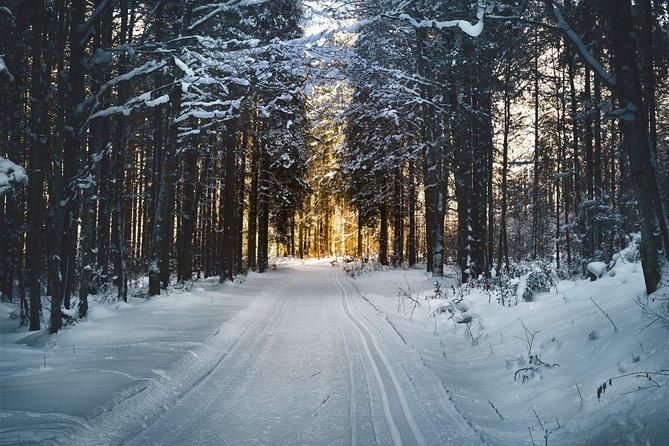 Cross-Country Skiing Guided Tour From Prague - Why the instruction is the real win (Lucie and Barbora set the tone)