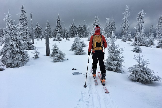Cross-Country Skiing Guided Tour From Prague - Timing in the real world: a 9-hour day with a clear rhythm
