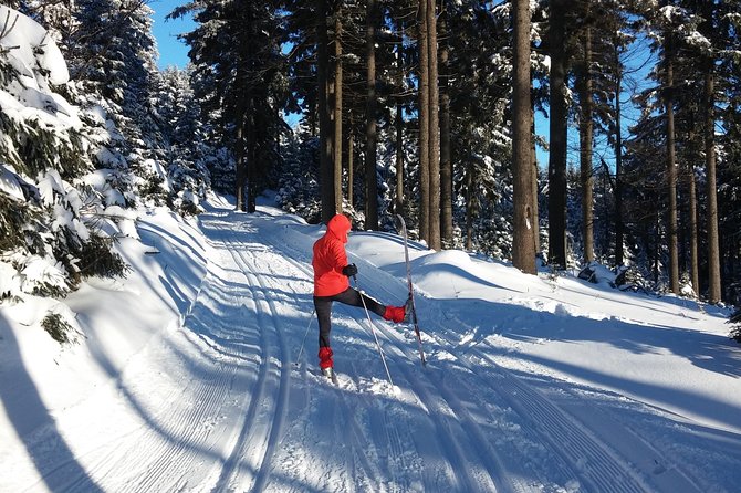 Cross-Country Skiing Guided Tour From Prague - Pickup, gear rental, and the safety brief you should actually take seriously