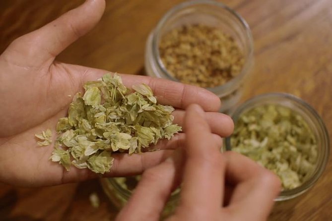 Czech Beer Tasting Experience - A smart Prague warm-up in Staré Město