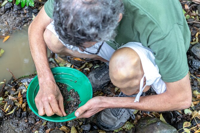 Czech garnet panning, scenic drive, farm & cheese, lunch & beer - Prague to the volcanic Bohemian Uplands, and why the change of scenery matters