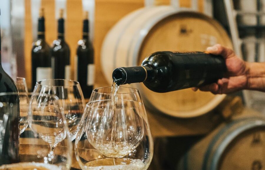 Czech Vineyards and Wine Tasting 4WD Tour with Lunch - What you’ll taste in Třebívlice: white-first, plus reds and sparkle