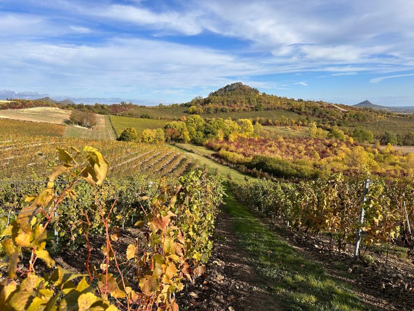 Czech Vineyards and Wine Tasting 4WD Tour with Lunch - Lunch in the countryside: local Czech food plus unlimited beer
