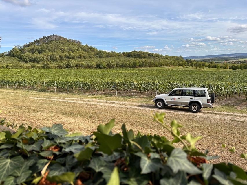 Czech Vineyards and Wine Tasting 4WD Tour with Lunch - Five gothic castles and a Jewish cemetery among vineyards