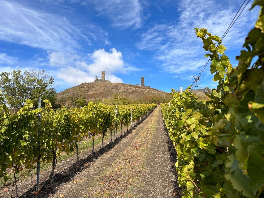 Czech Vineyards and Wine Tasting 4WD Tour with Lunch - Price and what $387 really buys you for a 7-hour day