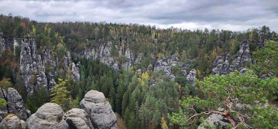Day trip from Prague to Bohemian and Saxon Switzerland - Who this tour suits best