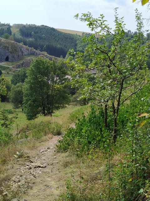 Discover Moravian Karst: Seven Stops, One Tailored Tour - Caves and karst formations: plan for Balcarka or Punkva fees