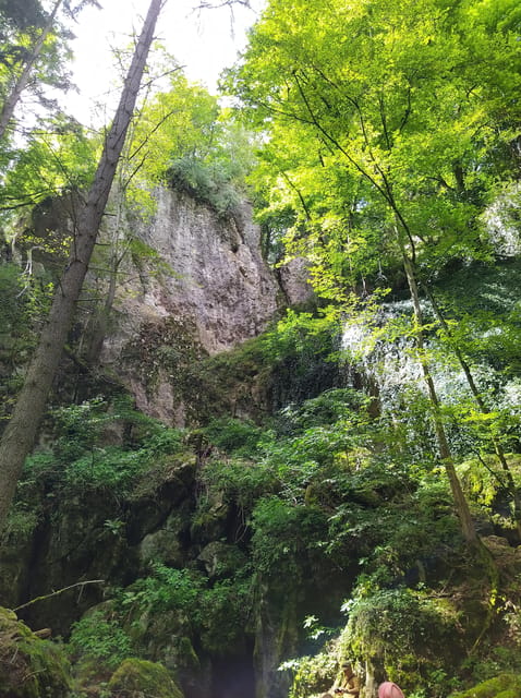 Discover Moravian Karst: Seven Stops, One Tailored Tour - Comfortable pacing with a live guide and multilingual audio support