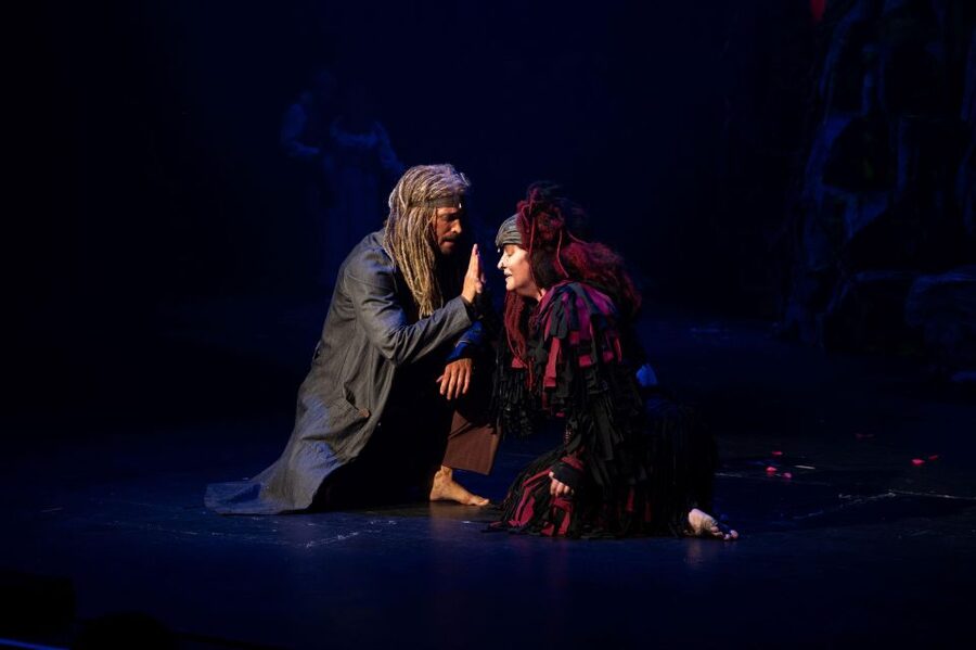 Disney's Tarzan Musical - FAQ