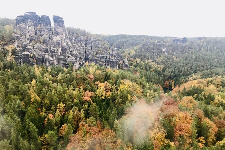 Dresden: Hassle-free trip to Bohemian and Saxon Switzerland - Lunch in a family-run Czech restaurant and how the breaks work