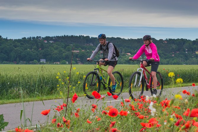 E-Bike Full-Day Trip From Prague: The Mighty Karlstejn Castle - The ride itself, 18 miles of mostly flat fun along the river