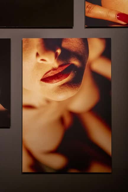 Exhibition David Lynch: Up in Flames - Who This Exhibition Fits Best