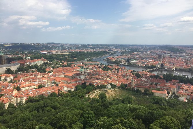 FAT TIRE E-BIKE GREAT TOUR - river, parks & panoramic views tour - Price and what your $80.60 ticket really buys
