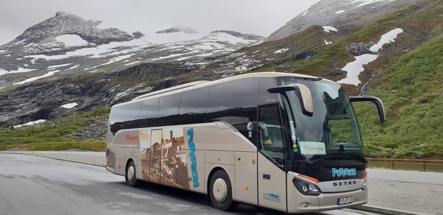 From Dresden: Prague Guided Day Trip by Coach - Price and value at around $71 per person