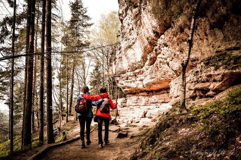 From Prague: Bohemian & Saxon Switzerland All-Inclusive Tour - Photography tips for Narnia shots and canyon viewpoints