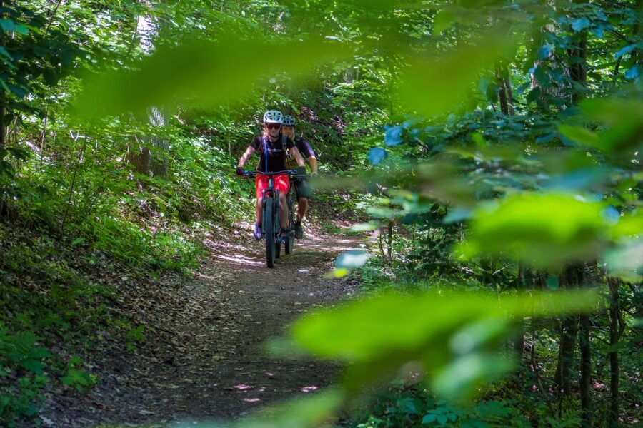 From Prague: E-Mountain Biking Trip to the Bohemian Paradise - Sandstone Towers and the Gorge: Where the Geology Shows Off