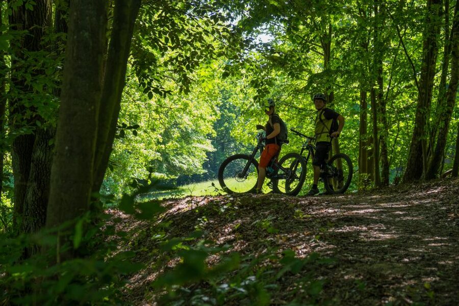 From Prague: E-Mountain Biking Trip to the Bohemian Paradise - Guides and the Small-Group Advantage: What Makes It Feel Smooth