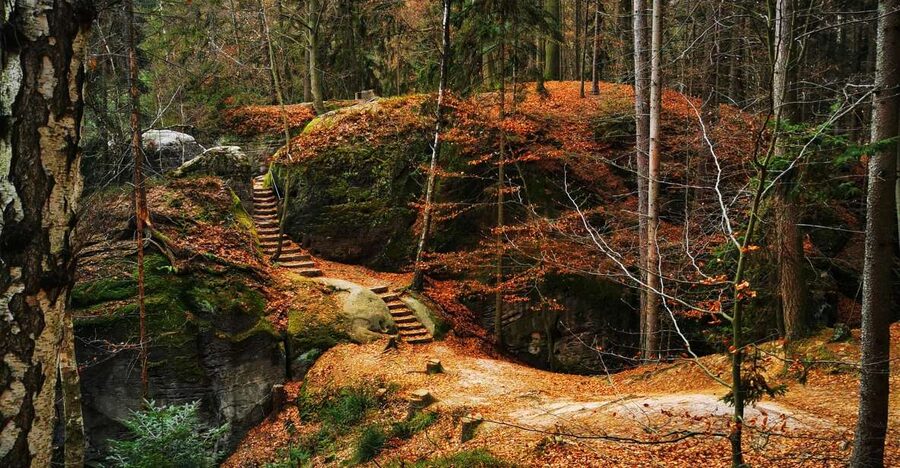 From Prague: Full-Day Bohemian Paradise Guided Hiking Trip - Pace, distance, and who will actually enjoy this