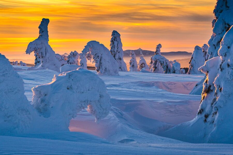 From Prague: Guided Snowshoe Tour with Mountain Views - Weather and snow: the reality check you should plan for