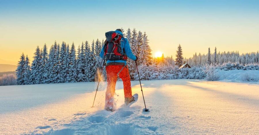 From Prague: Guided Snowshoe Tour with Mountain Views - Who this tour suits best, and who should think twice