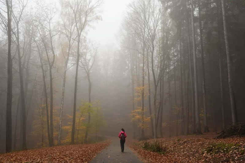 From Prague: Hike the Hidden Valleys of Bohemian Paradise - Price and Value, What $151 Really Covers