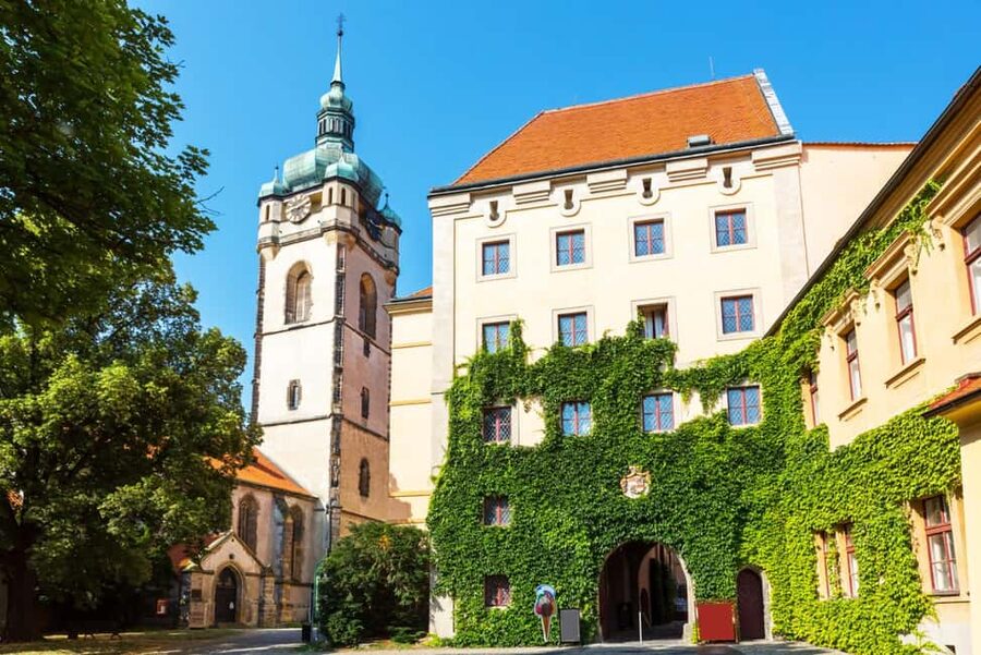 From Prague to the Vineyards: Wine & Gastronomy Tour - Pairing smoky fish and wild game with local drinks