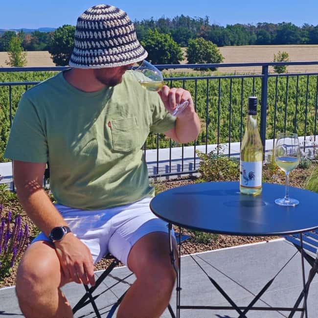 From Prague to the Vineyards: Wine & Gastronomy Tour - Price and what you actually get for $223