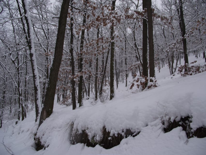 Get to know South Moravia with us. 6 hour tour. - Who should book this tour, and who might not
