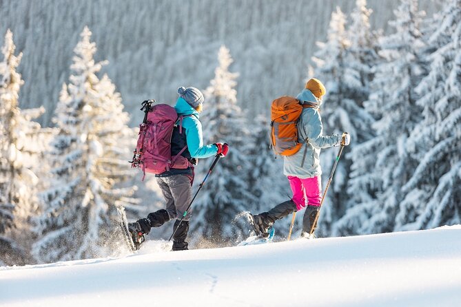 Half-Day Snowshoe Trip from Prague - Key highlights you should plan around