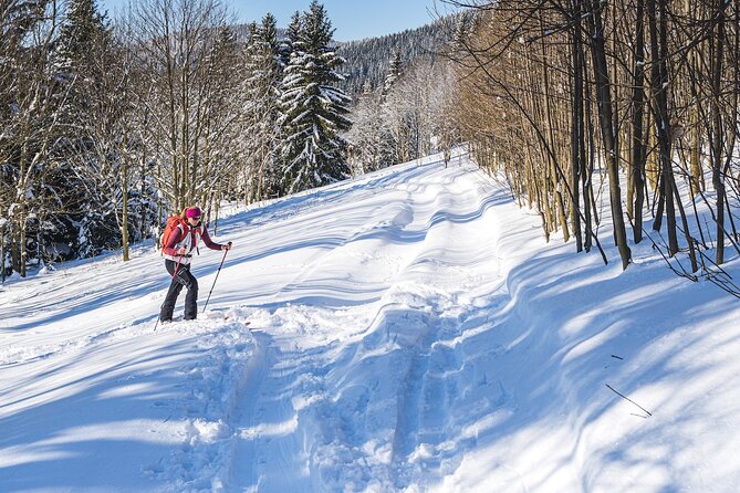 Half-Day Snowshoe Trip from Prague - Jested at 2pm: why this timing feels so good