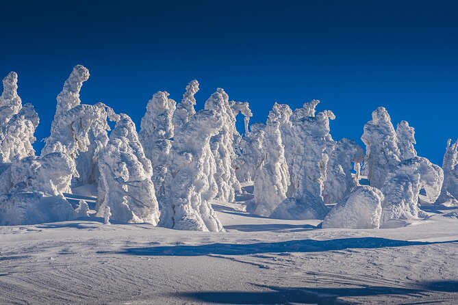 Half-Day Snowshoe Trip from Prague - Jested Tower stop: the hilltop design restaurant and what to expect