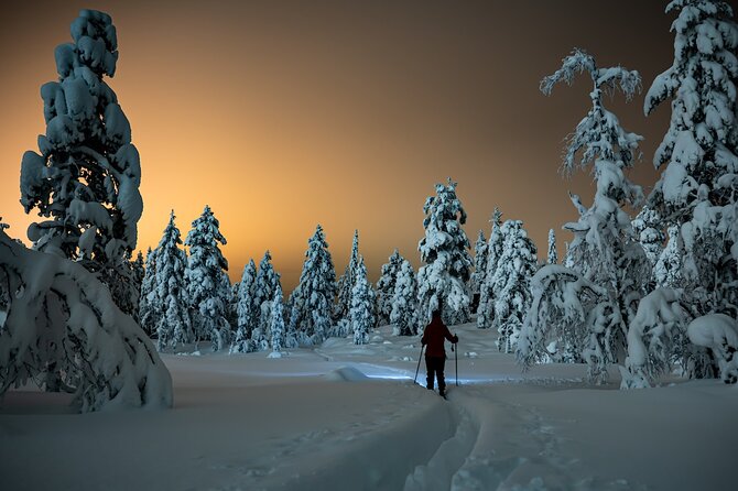 Half-Day Snowshoe Trip from Prague - Finishing with headlamps: why the last 30 minutes hit different