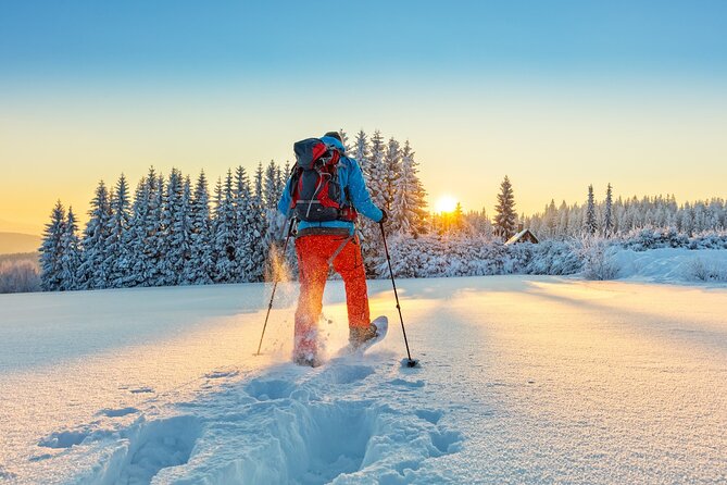 Half-Day Snowshoe Trip from Prague - Price and value: is $142.97 fair for what you get?