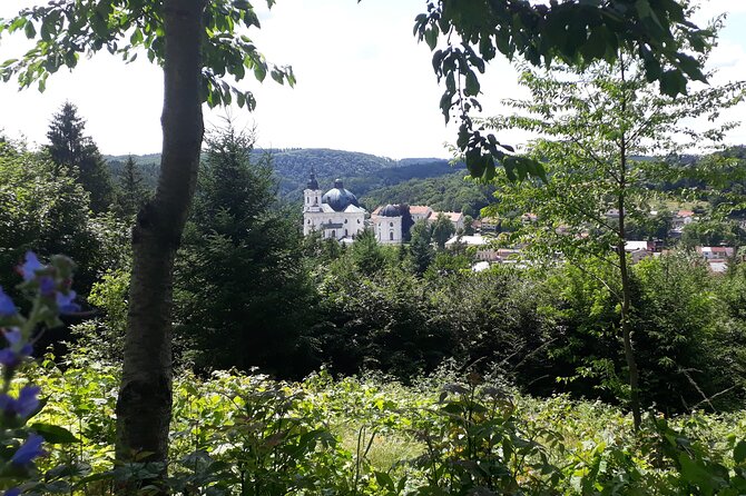 Half Day Tour to the Macocha Abyss and The Punkva Caves - Clothing, Comfort, and How Much You’ll Walk