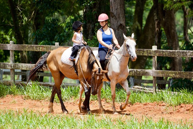 Horseback Riding Tour in Bohemian Switzerland - Lunch at Stará Plynárna: the old gasworks stop you will remember