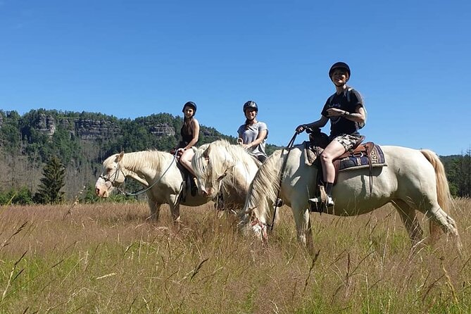 Horseback Riding Tour in Bohemian Switzerland - Who this horseback day trip suits best