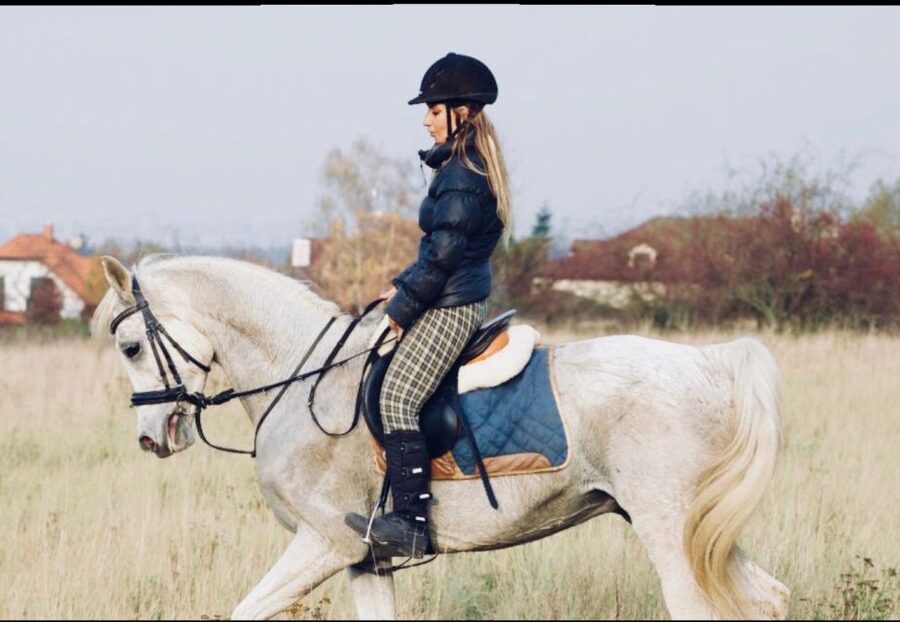 Horseback riding tour near Prague - Meeting the horses: helmets, calm instruction, and what welfare looks like