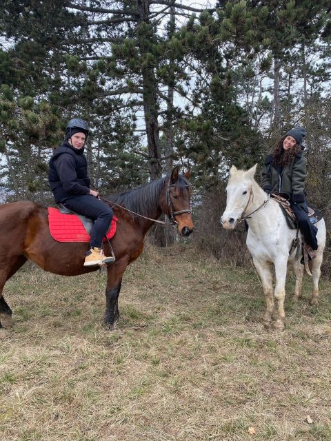 Horseback riding tour near Prague - The 50 to 60 minute walk ride in Mníšek pod Brdy countryside